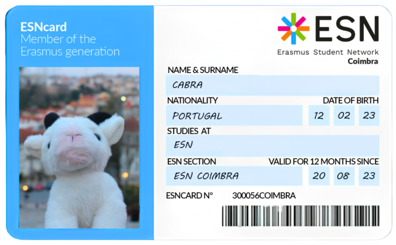 ESNcard image
